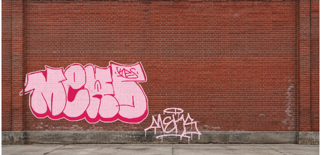 Digital graffiti by MERS1/MANR on Wall 4